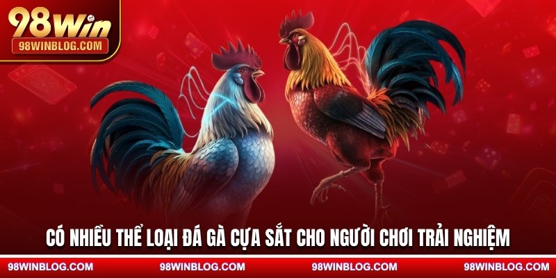 Có nhiều thể loại đá gà cựa sắt cho người chơi trải nghiệm