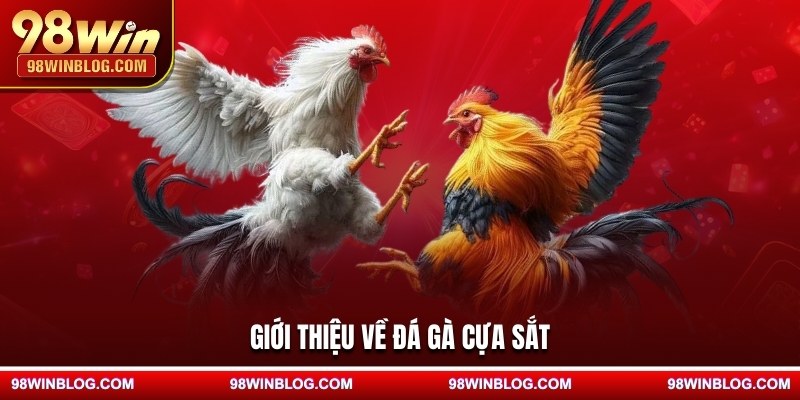 Giới thiệu về đá gà cựa sắt