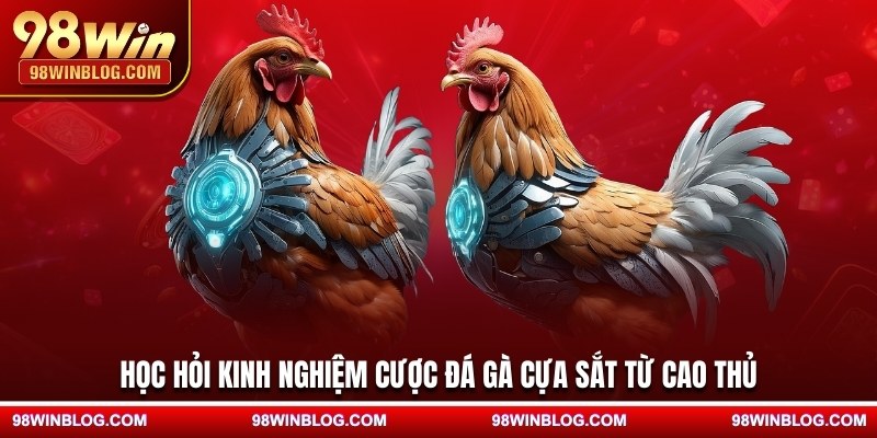 Học hỏi kinh nghiệm cược đá gà cựa sắt từ cao thủ