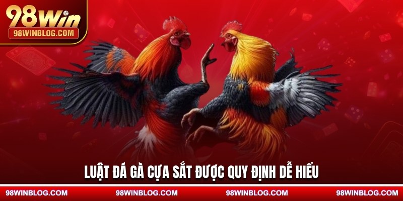 Luật đá gà cựa sắt được quy định dễ hiểu