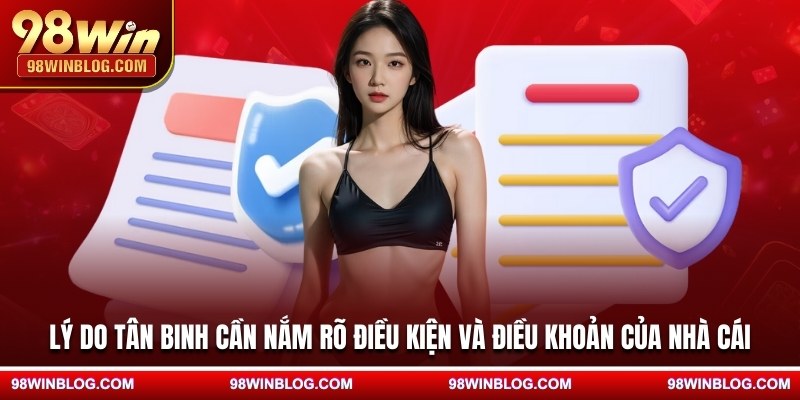 Lý do tân binh cần nắm rõ điều kiện và điều khoản của nhà cái