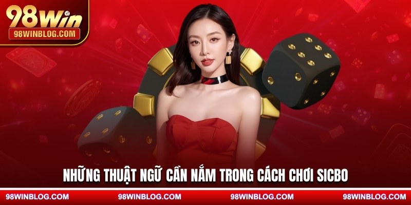 Những thuật ngữ cần nắm trong cách chơi sicbo